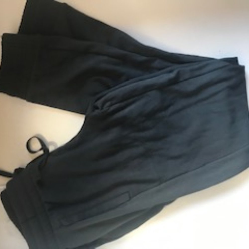 NWT Fabletics Betsy  Jogger - Picture 7 of 8